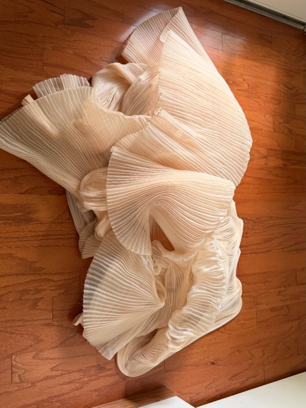 Tulle - Picture 7 of 11